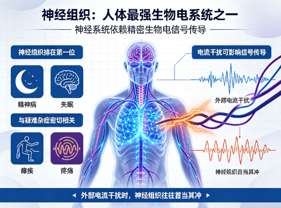 6a7ff3465355a.png image.png